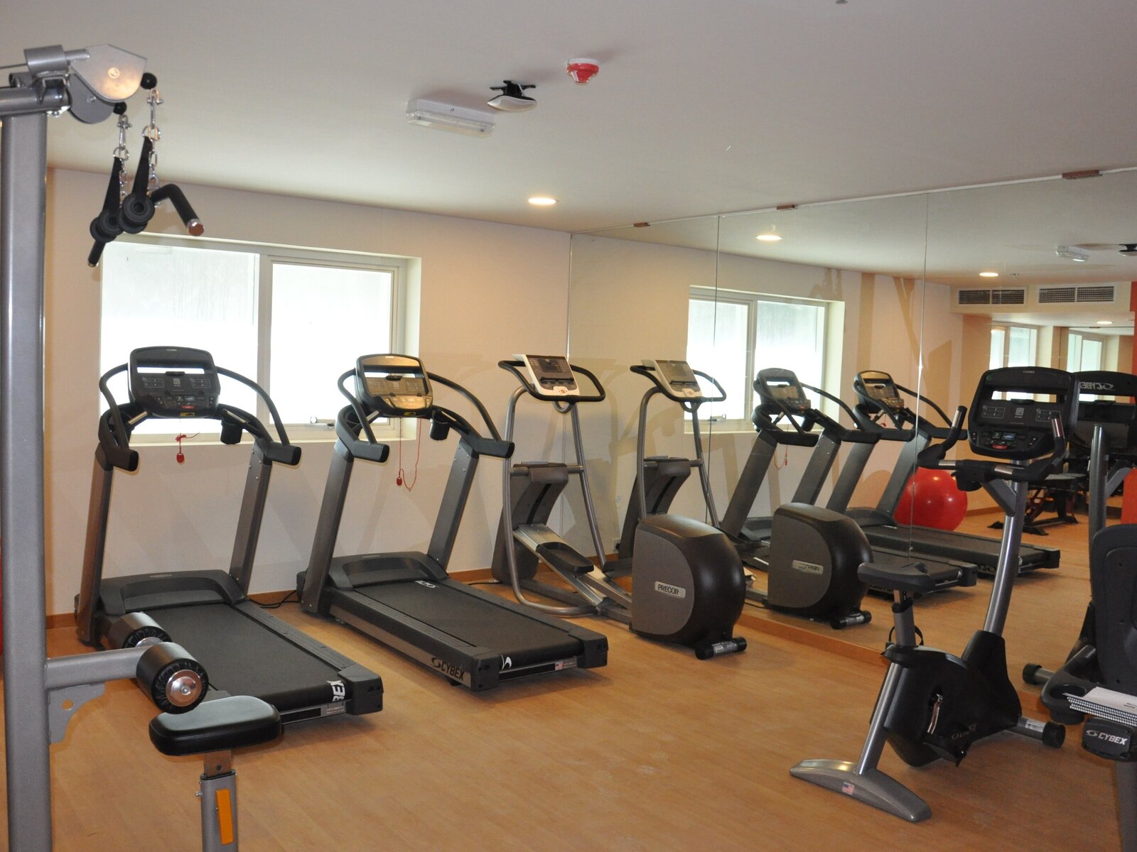 Sport