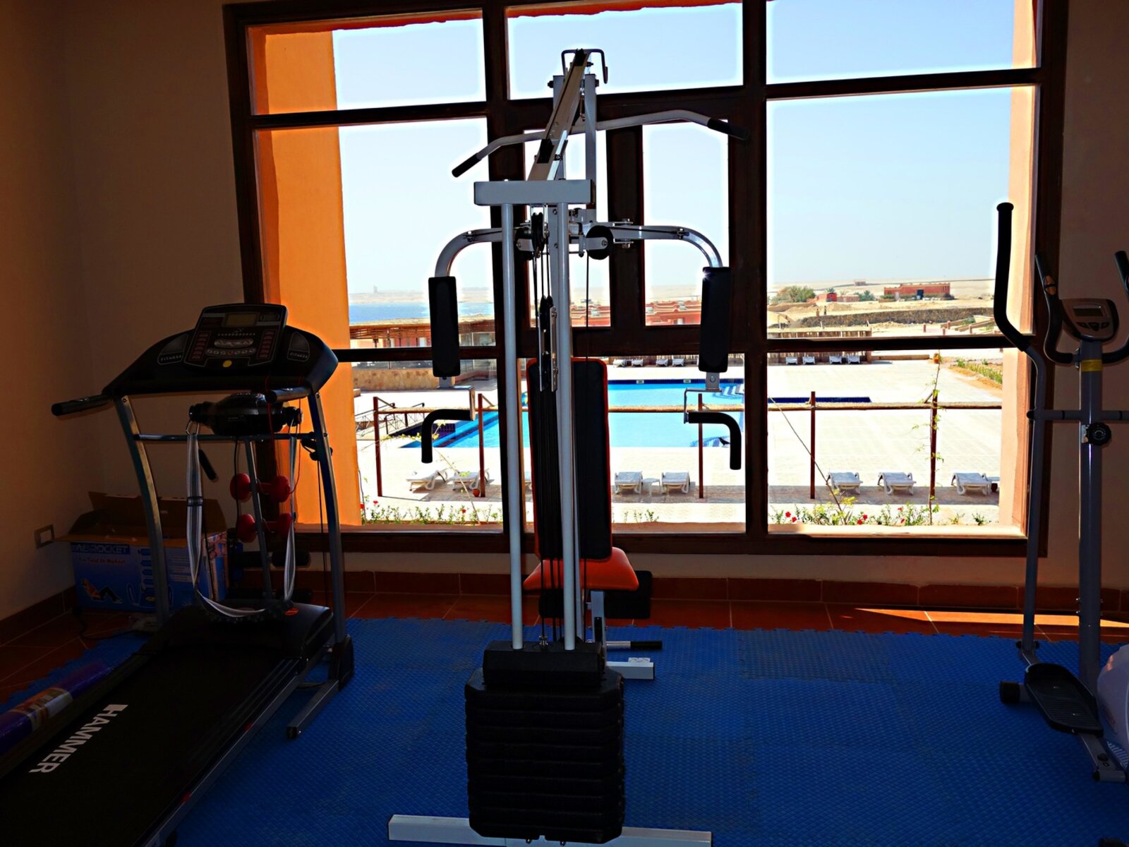 Sport