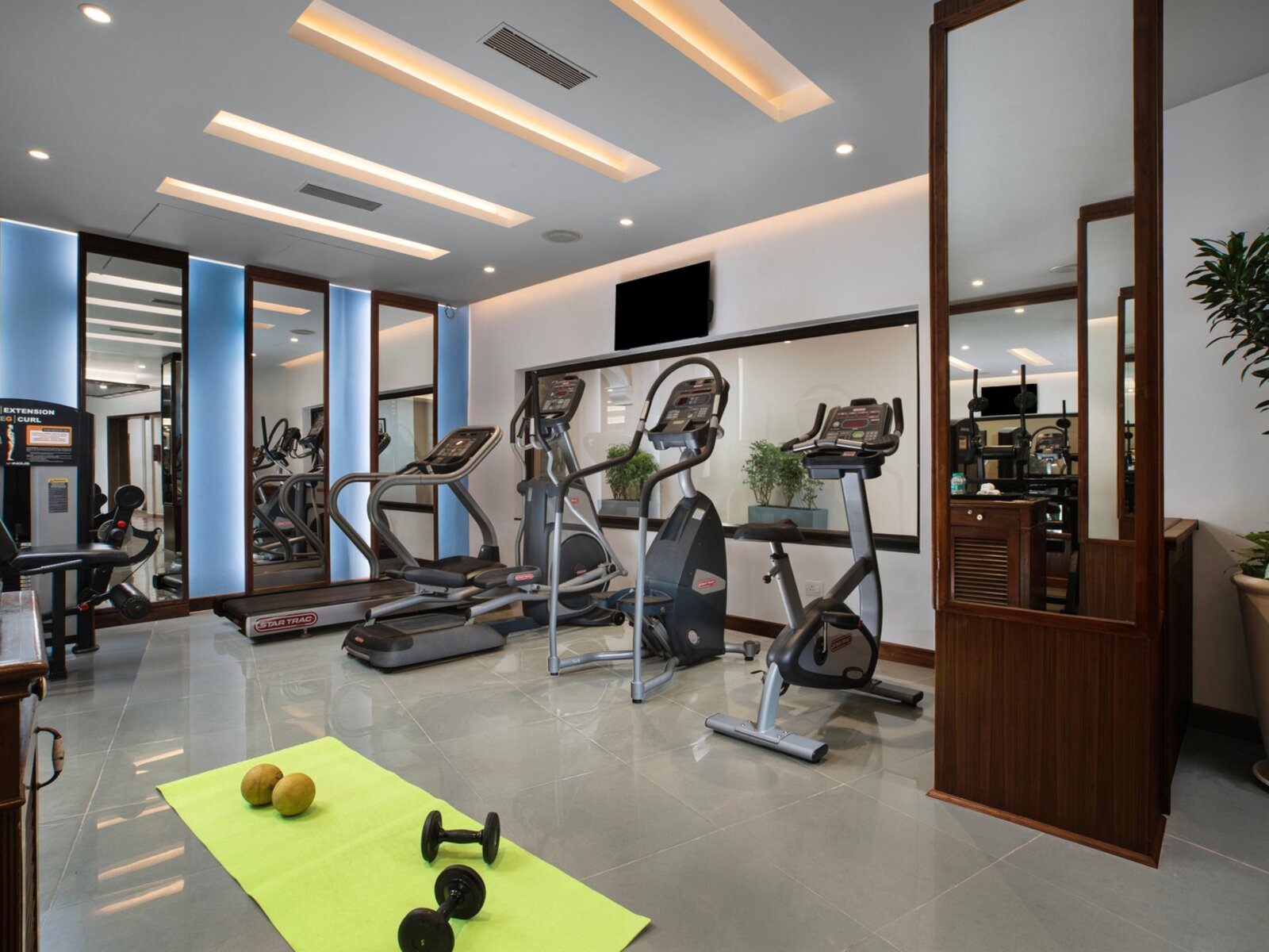 Sport