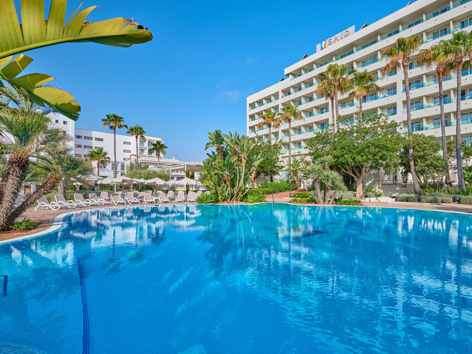 Piscina exterior adultos
