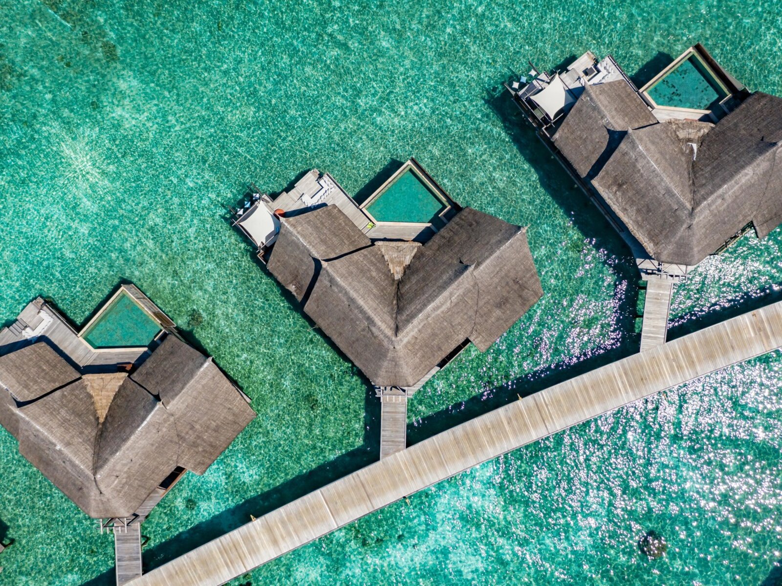 Wohnbeispiel Ocean Pool Suite