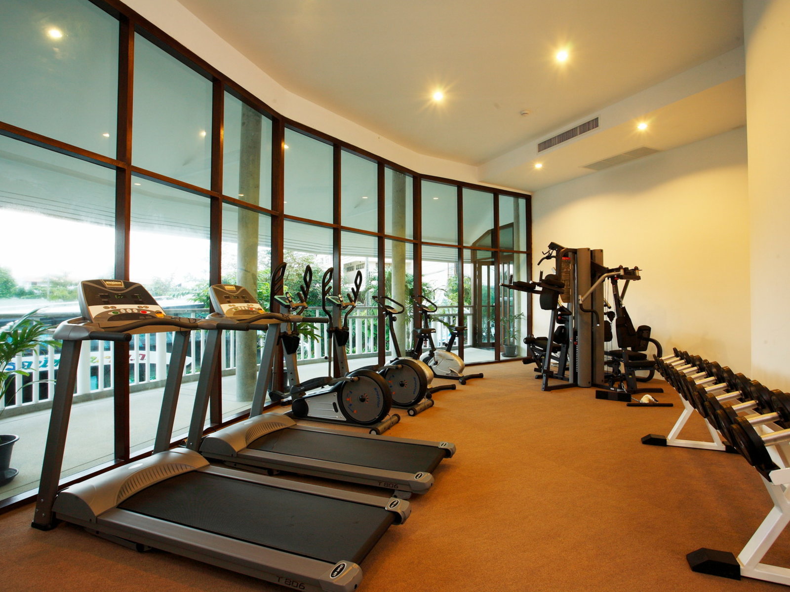 Sport