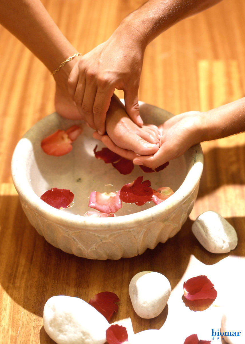 Wellness