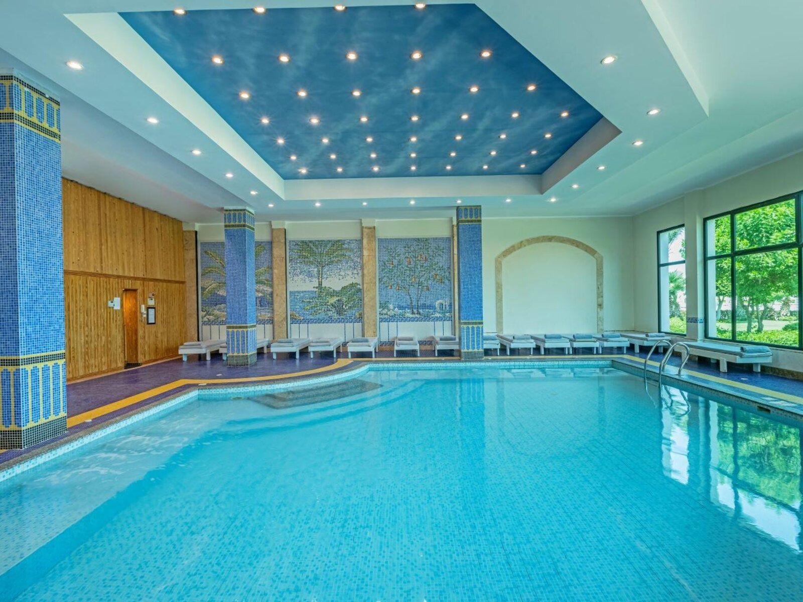 Wellness