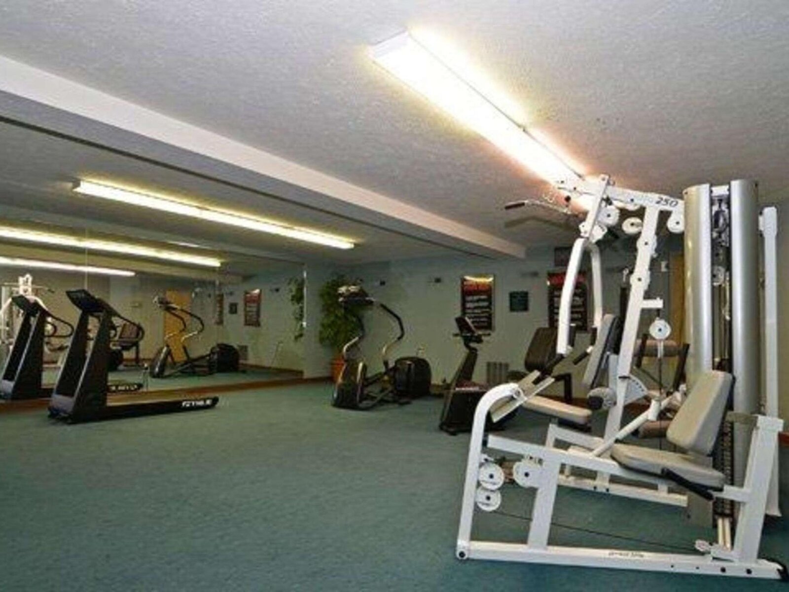 Sport