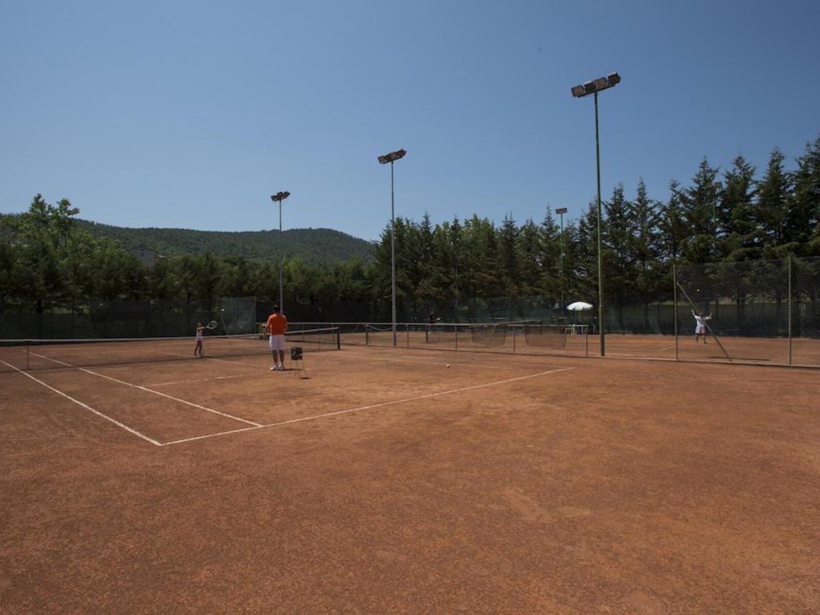 Sport
