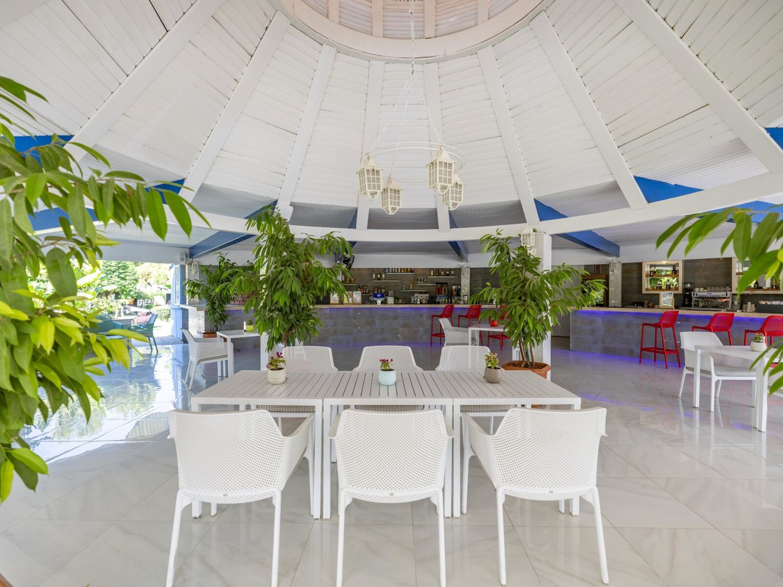 Blue Bar
