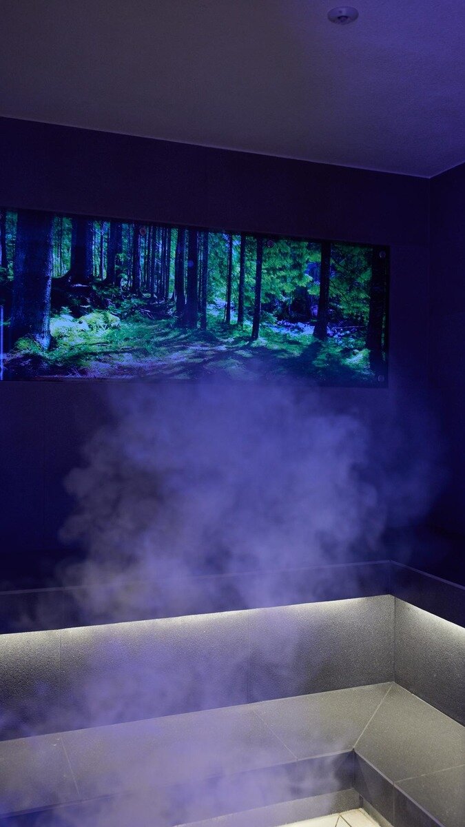 Wellness