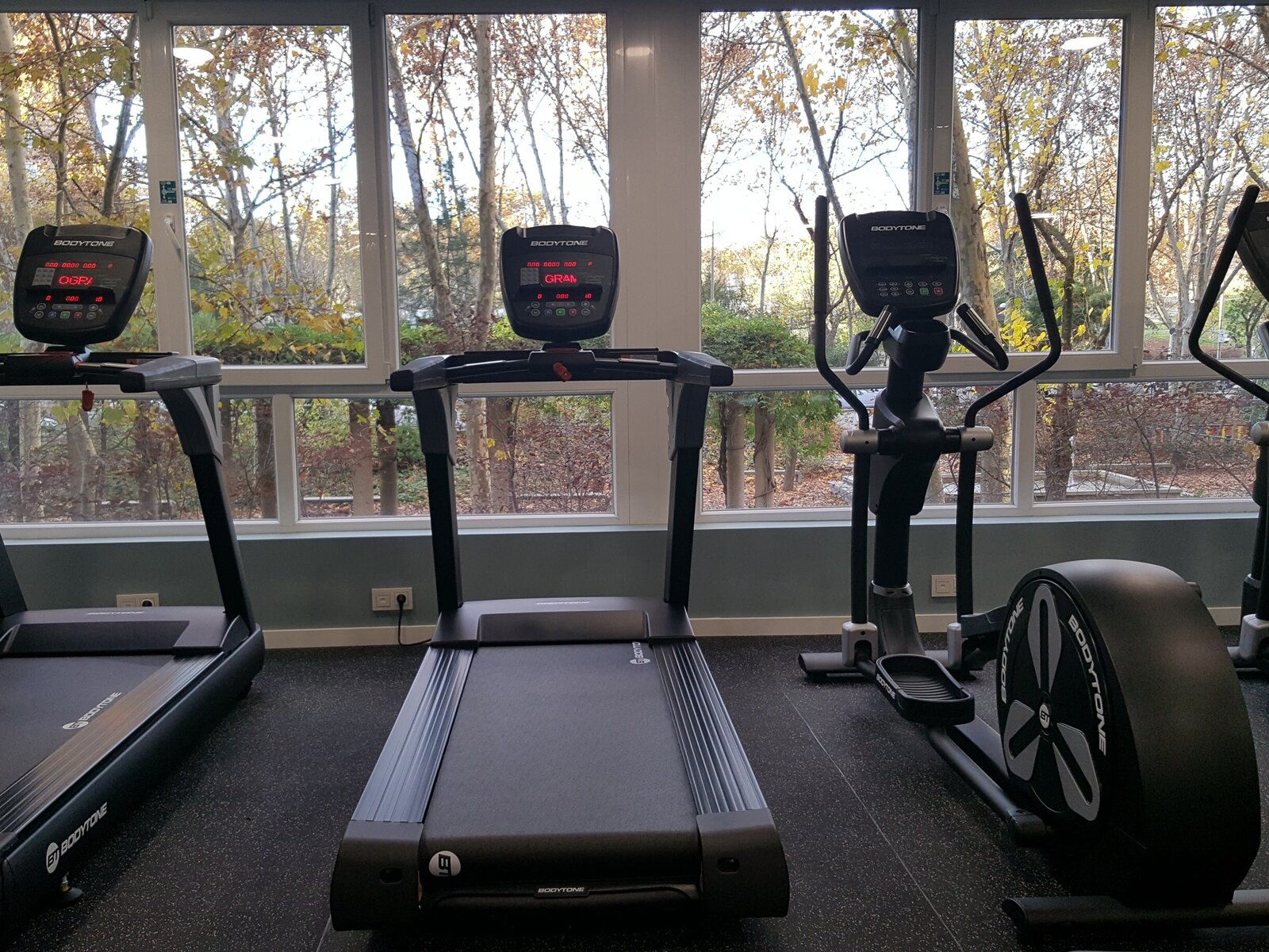 Sport