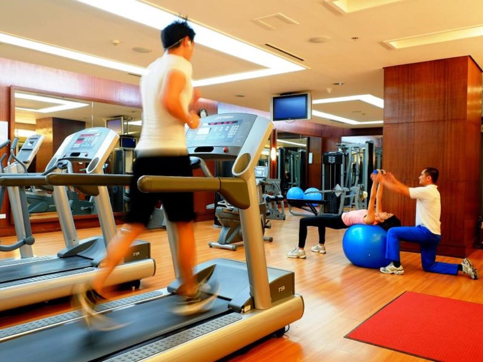 Sport