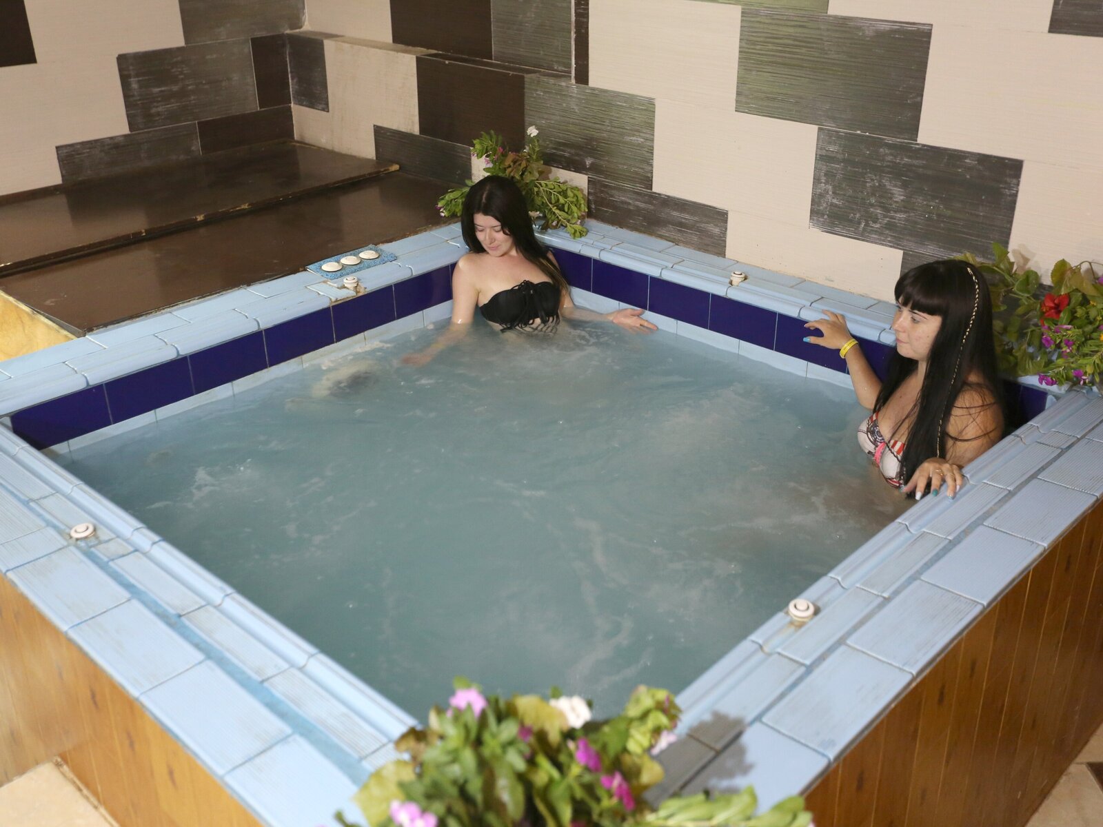 Wellness