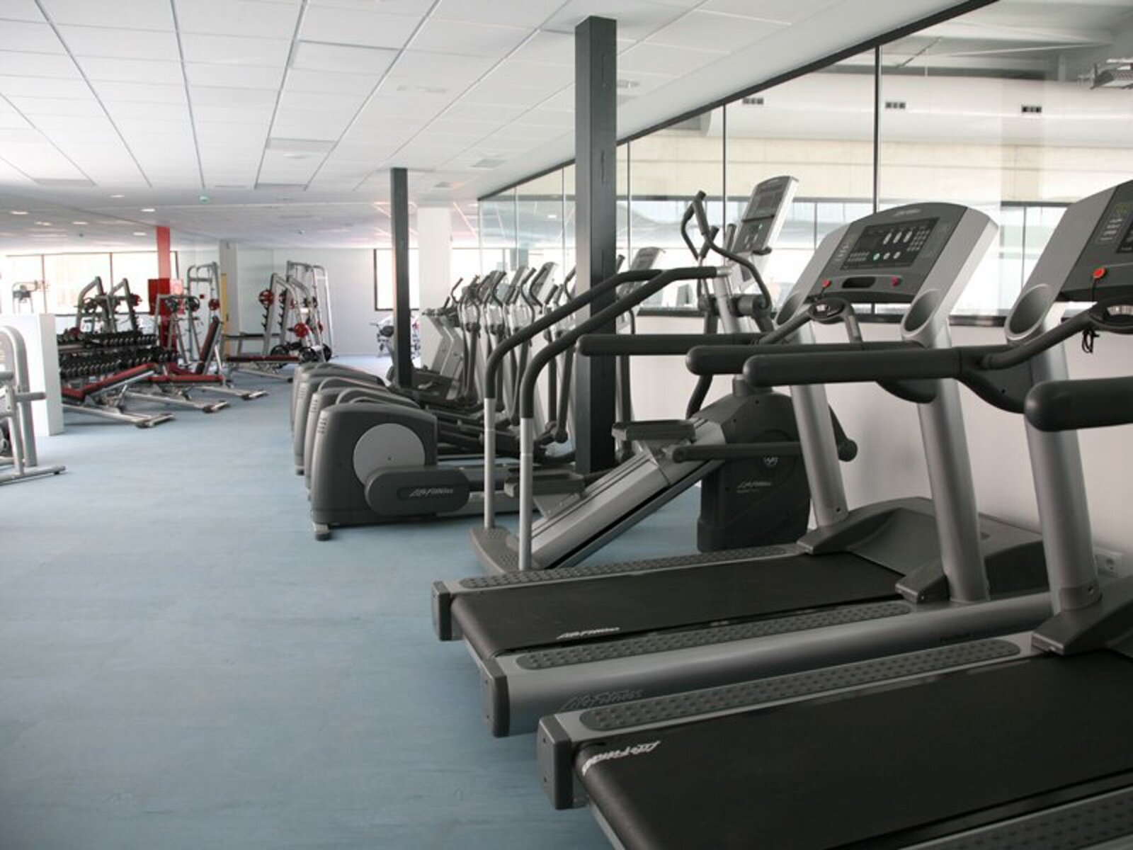 Sport