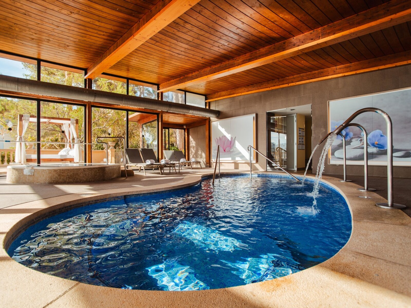 Wellness