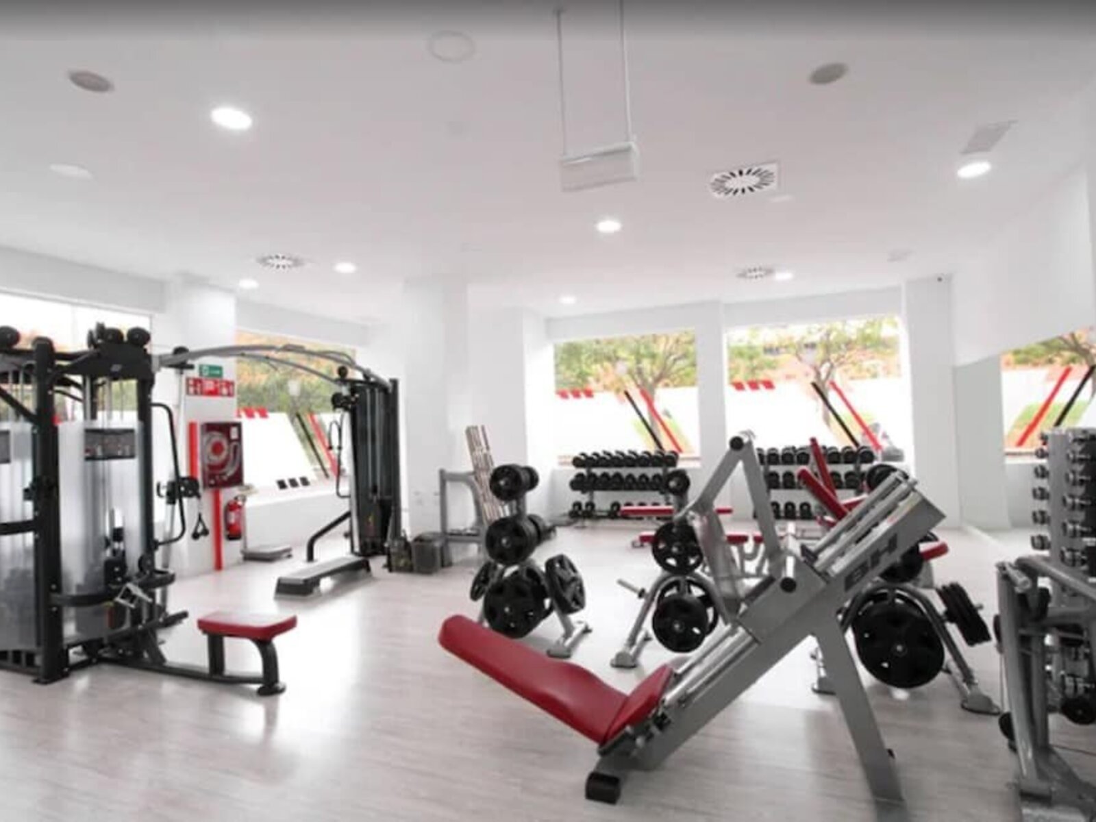 Sport