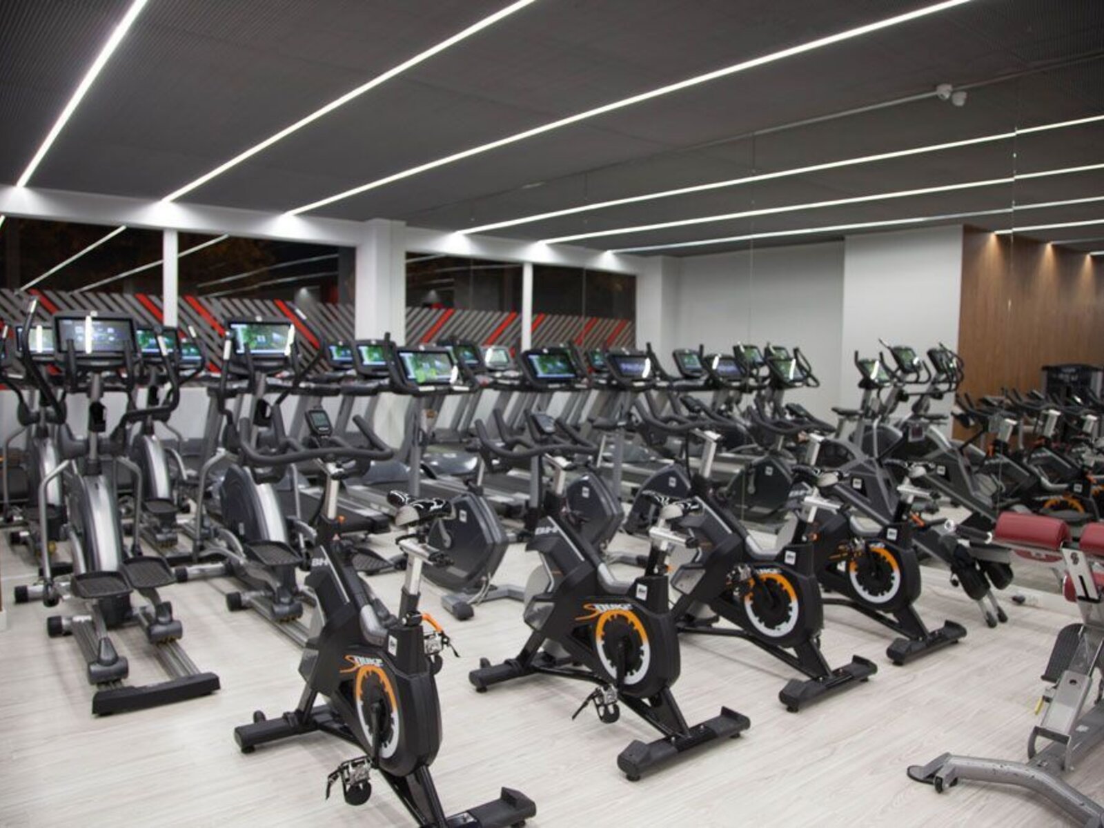 Sport