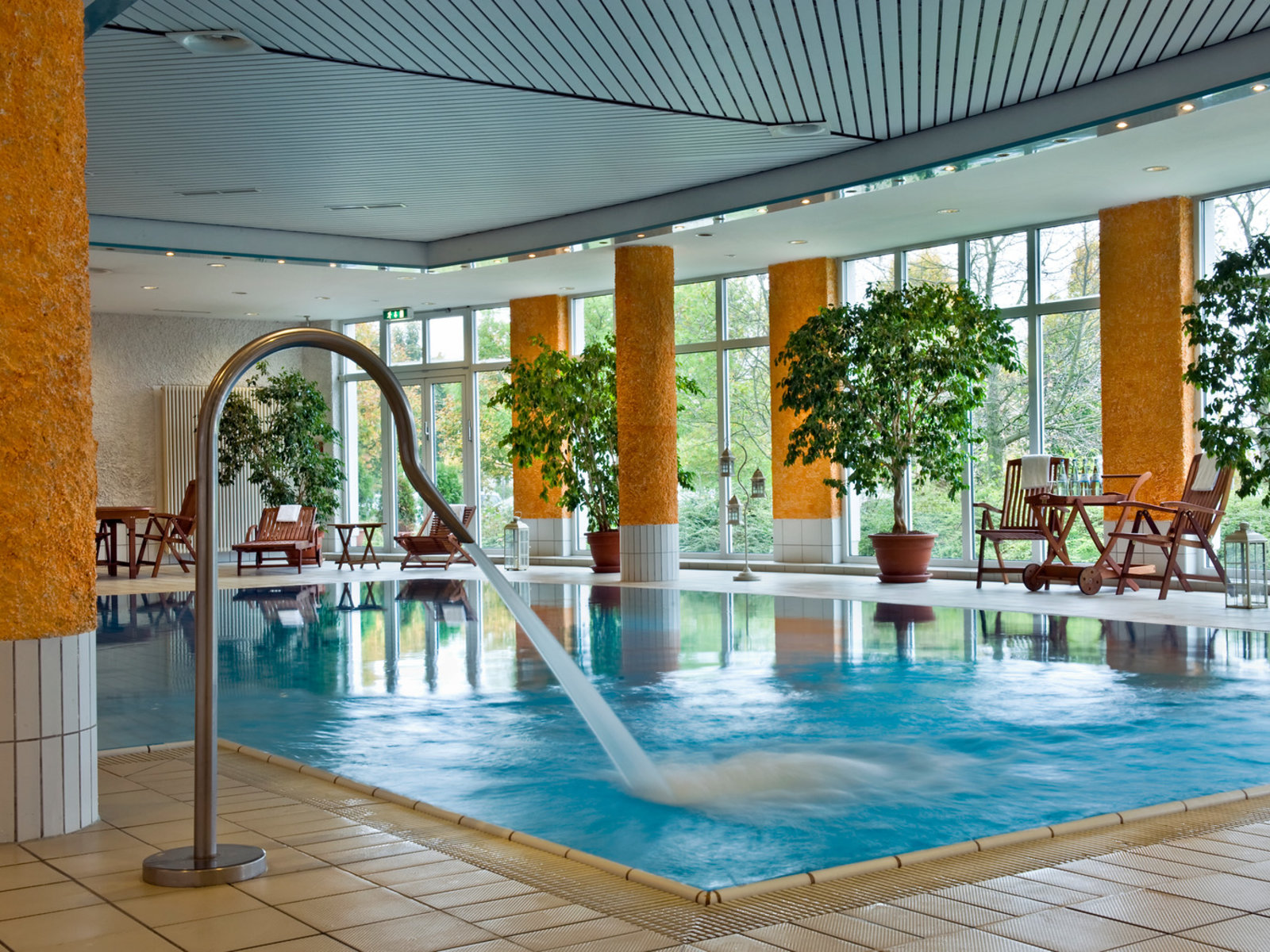 Wellness