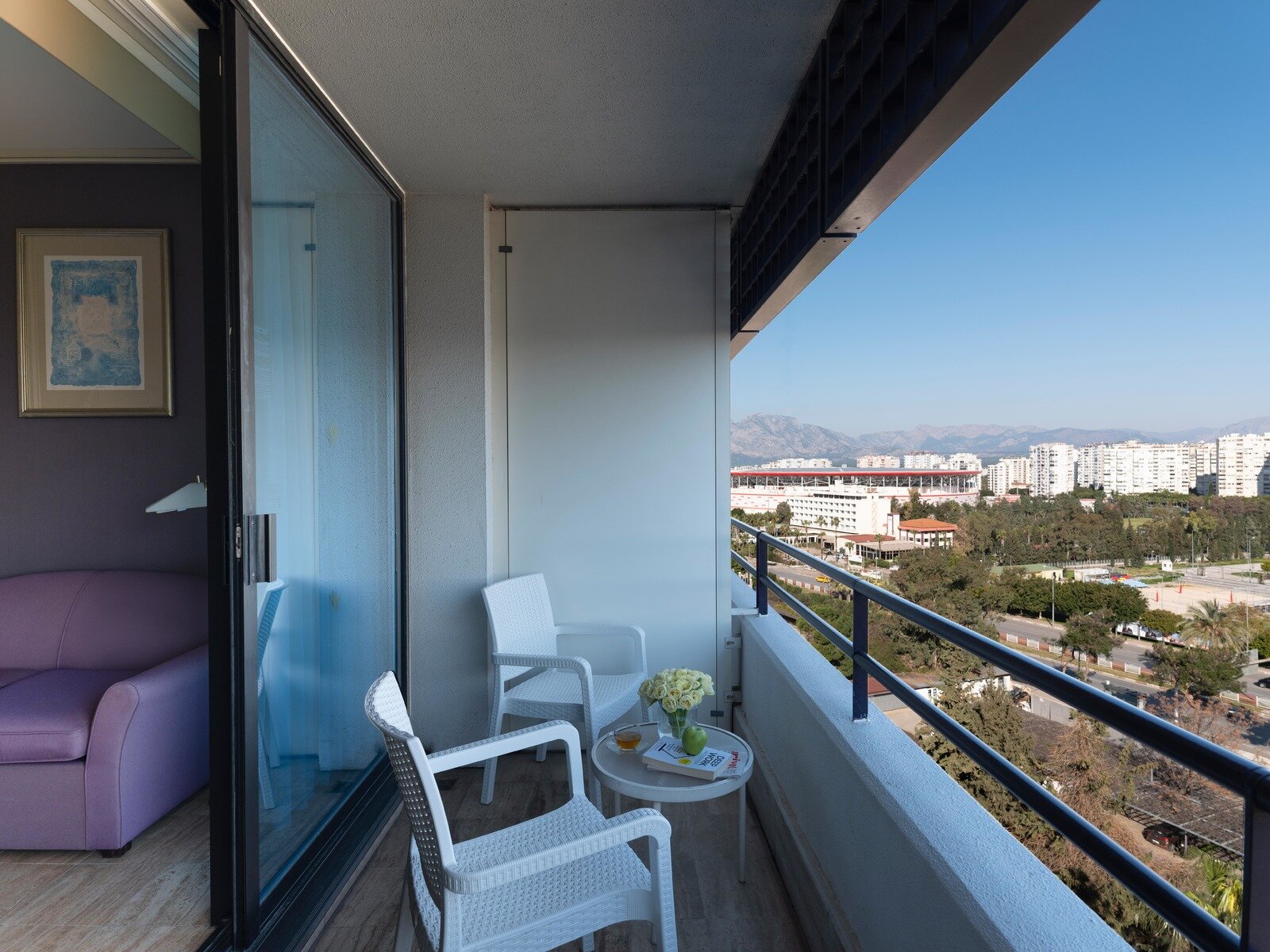 Wohnbeispiel Double Standard Room Land View