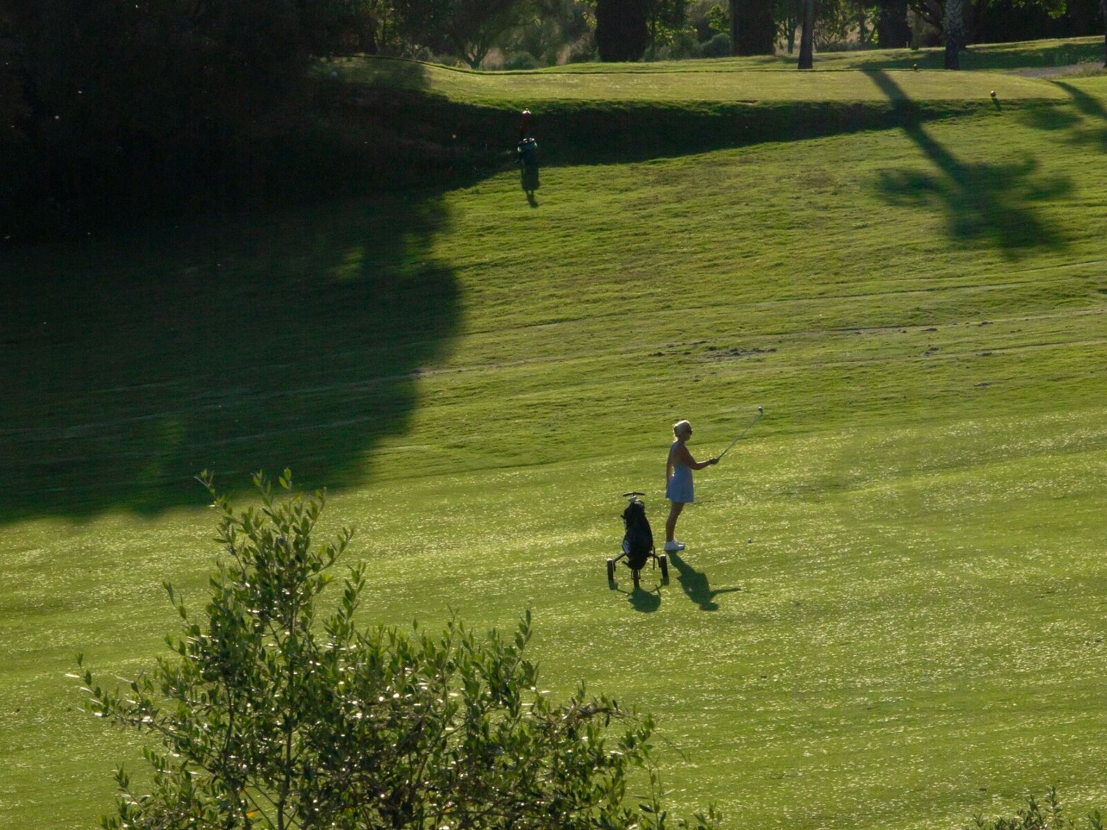 Golf