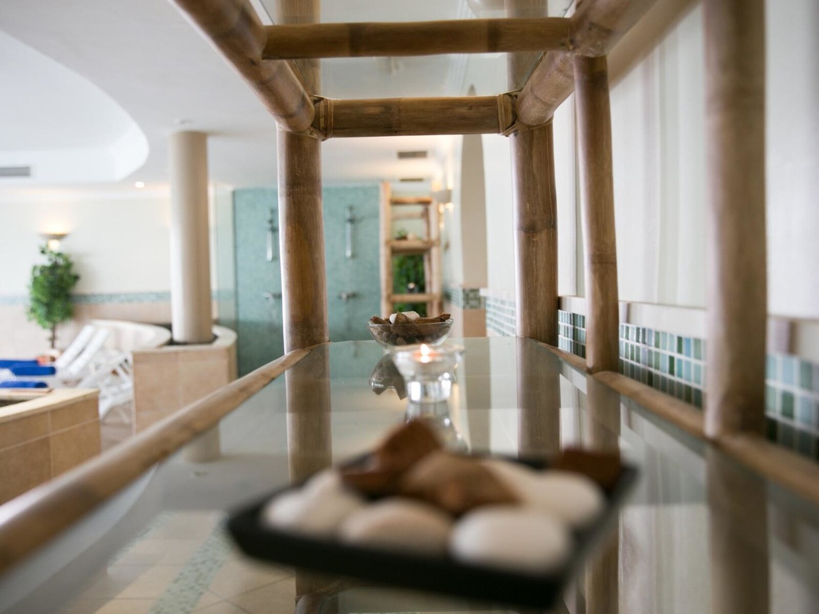 Wellness