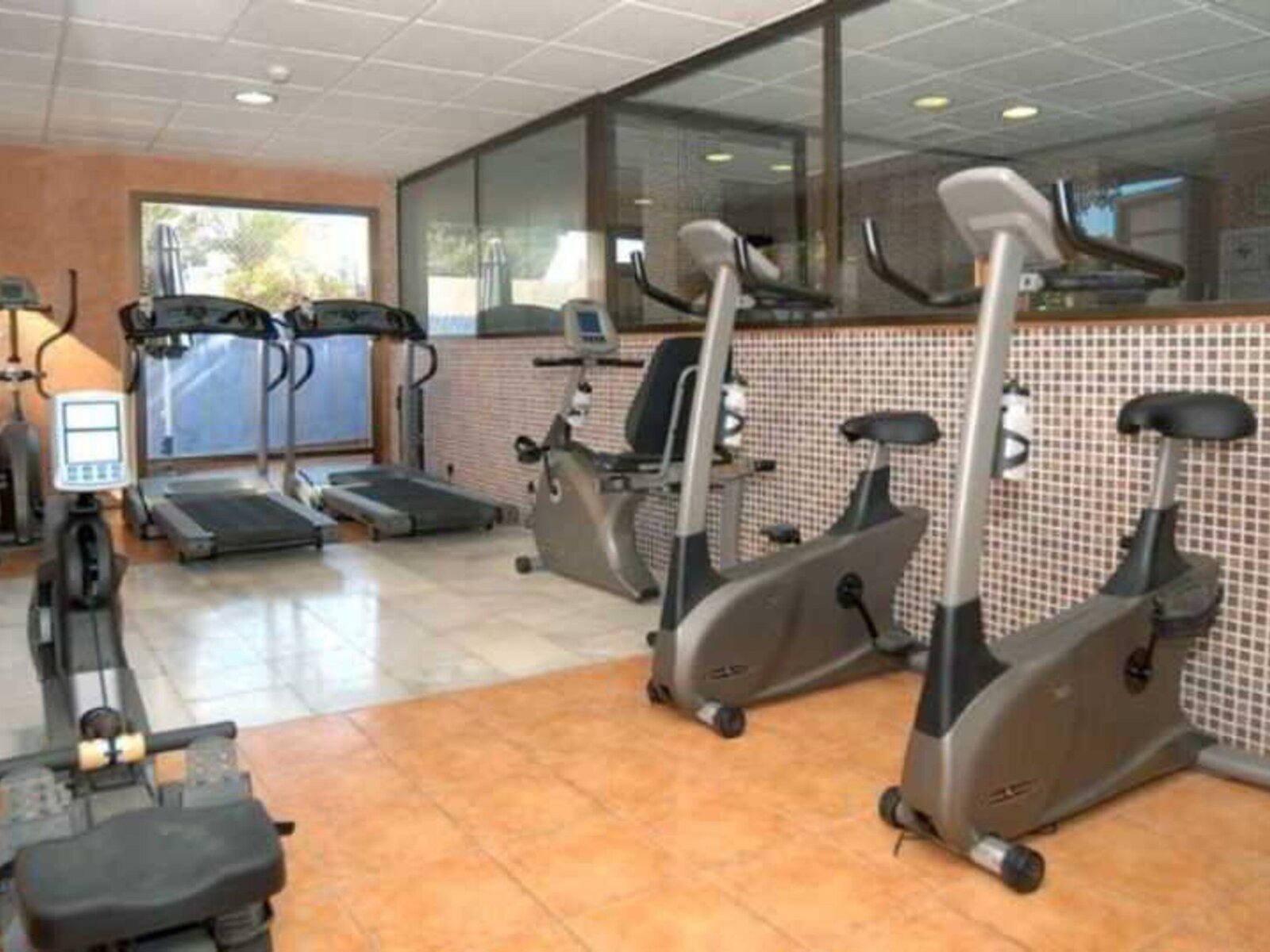 Sport