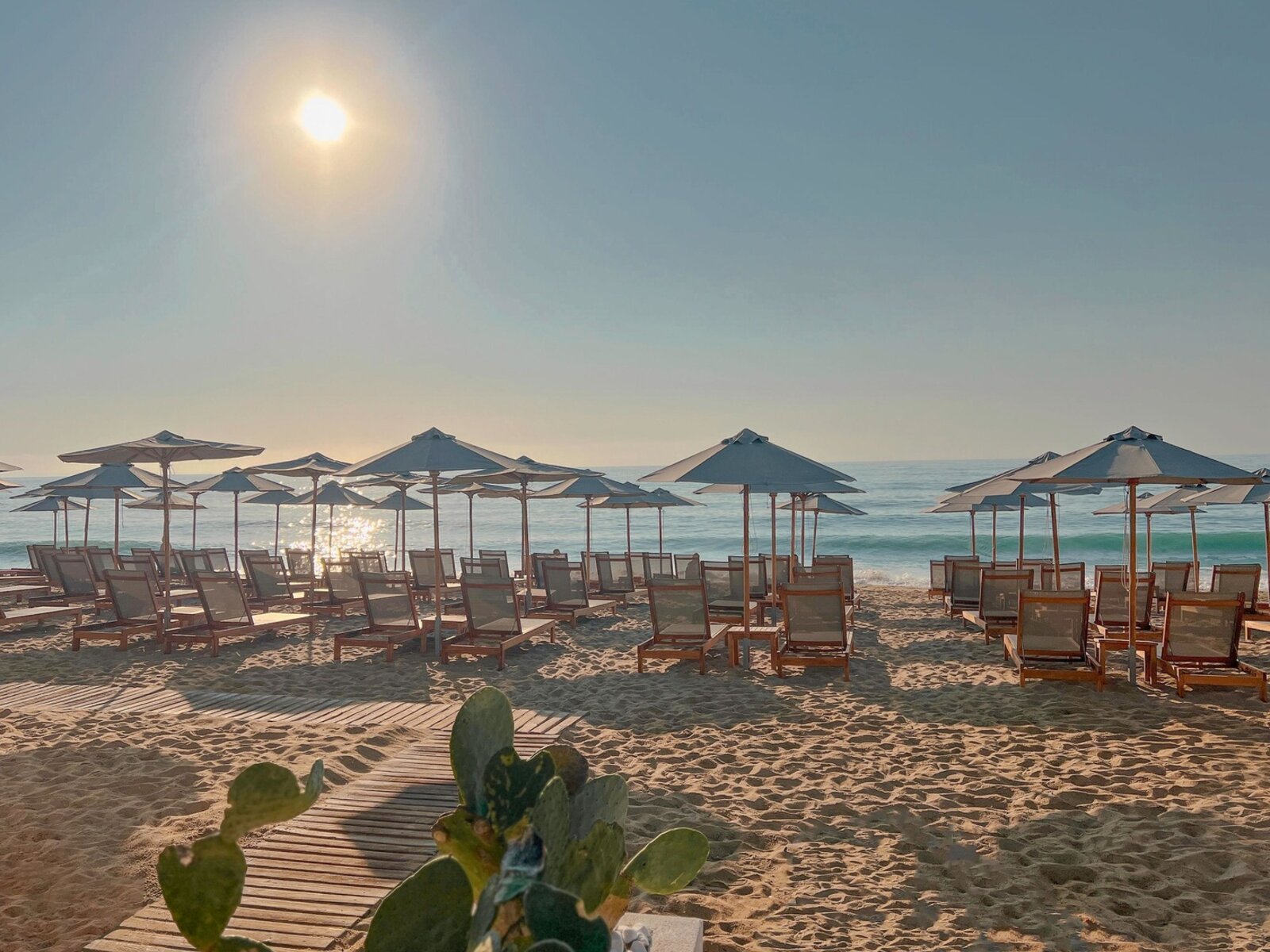 GRIFID Beach