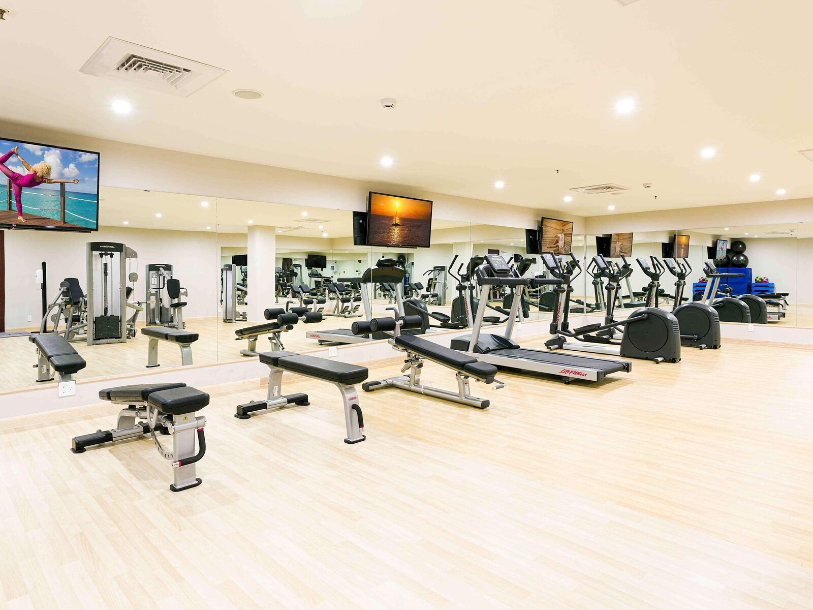 Sport