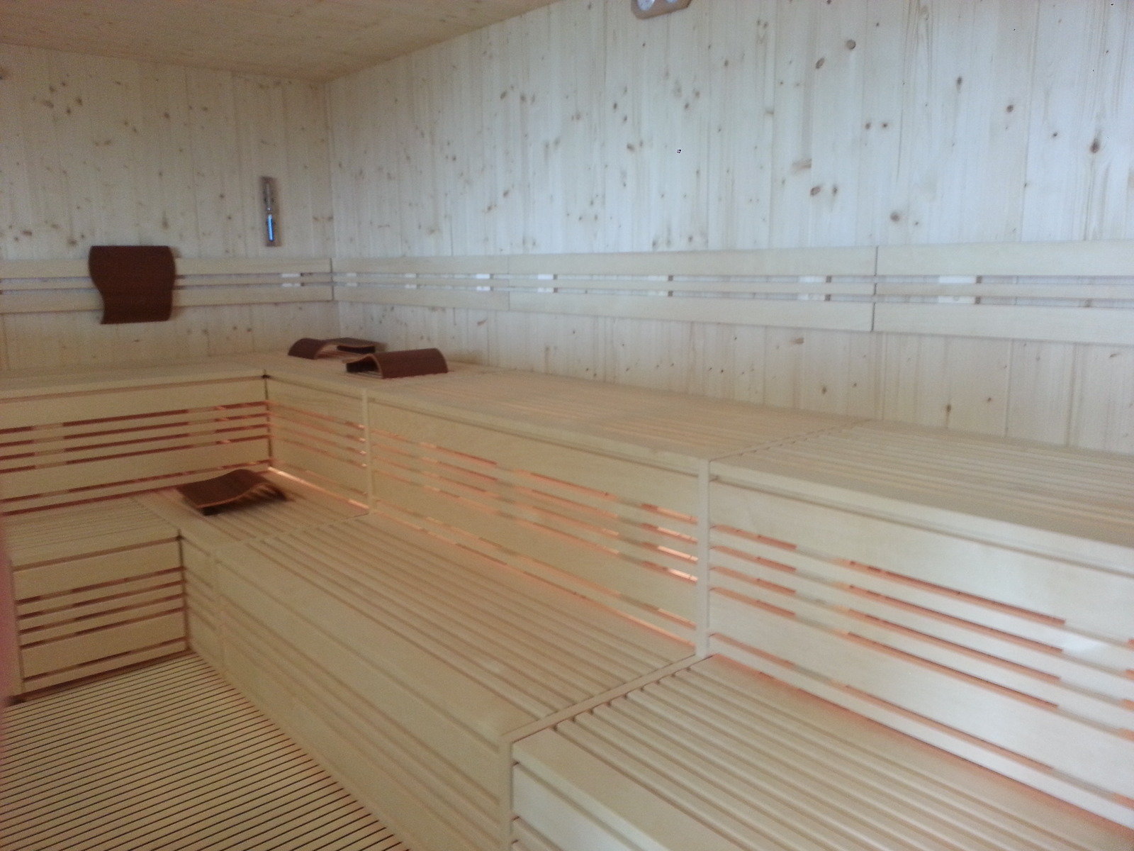 Wellness