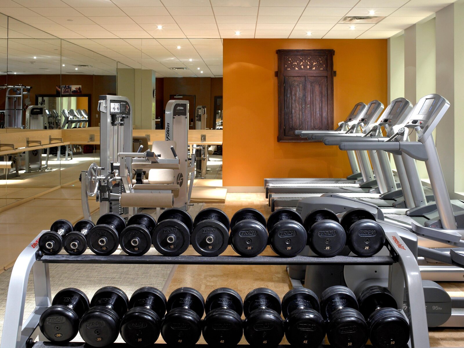 Sport