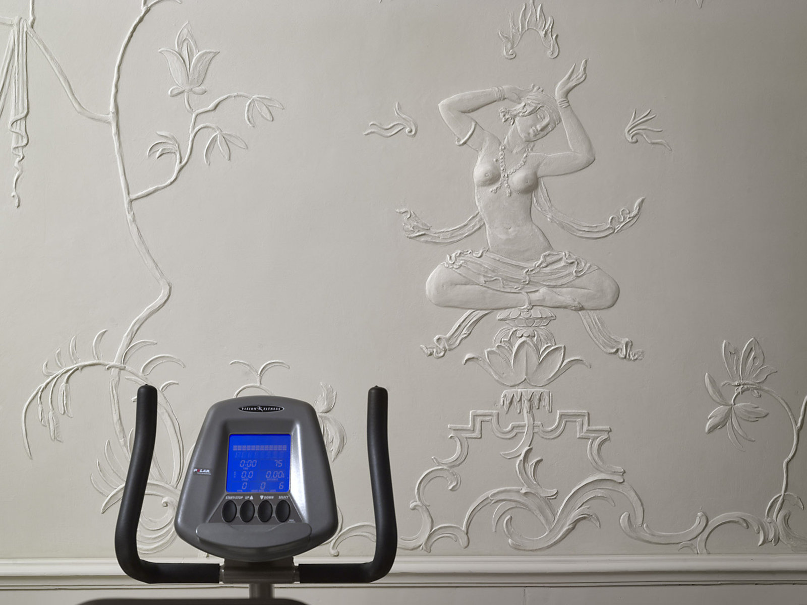 Wellness