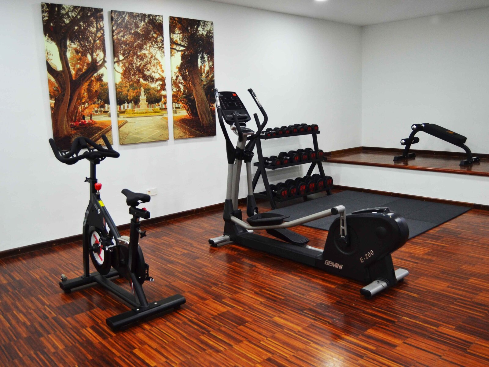 Sport
