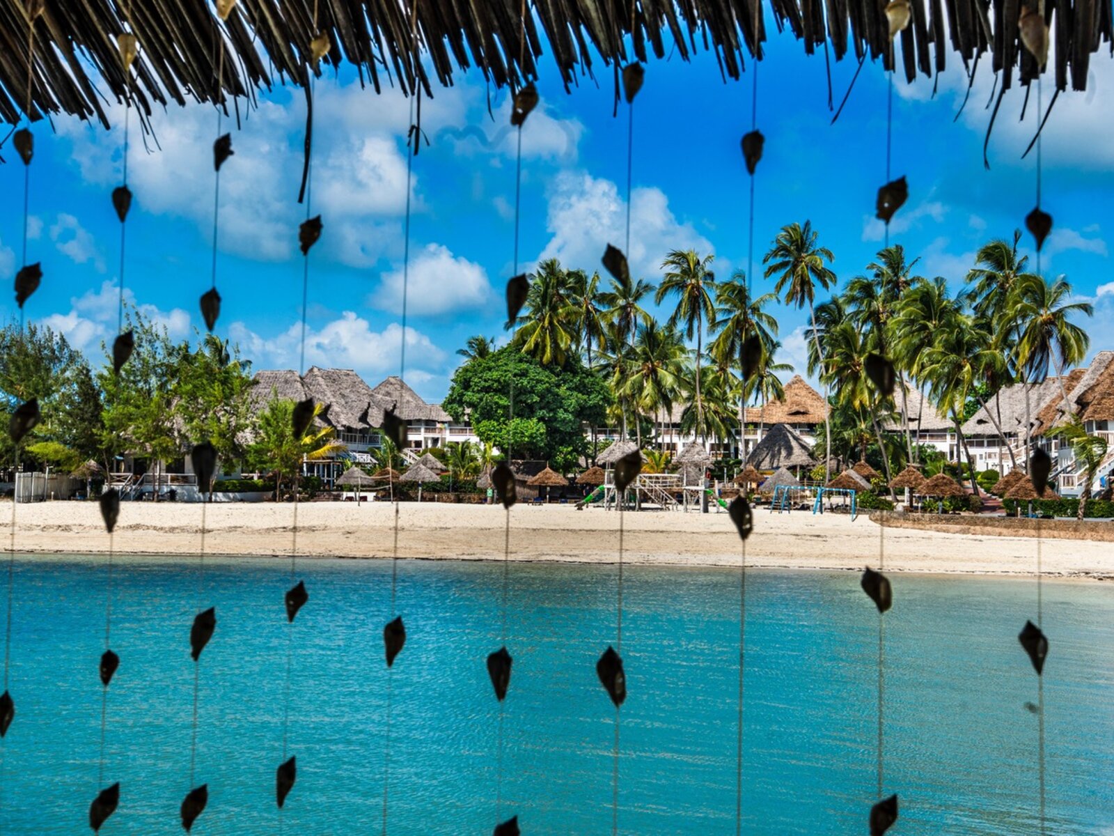 Jetty Bar