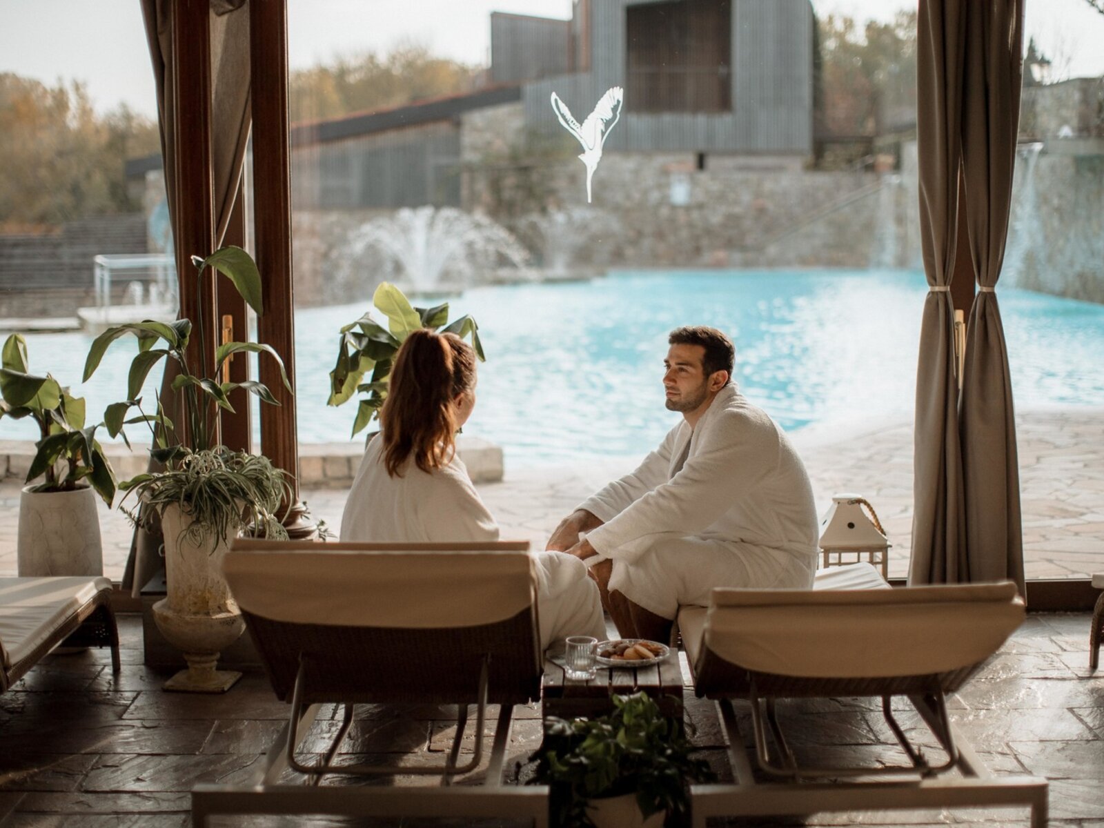 Wellness