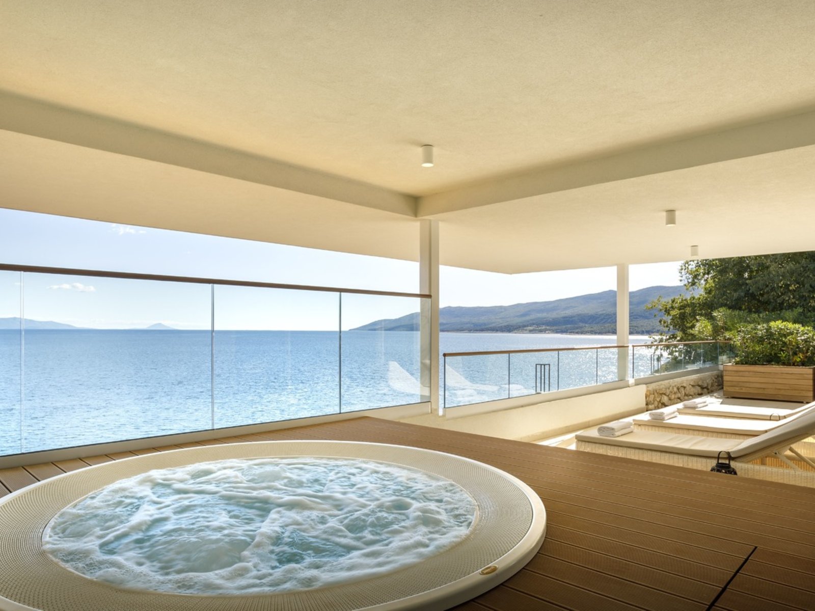 Wellness