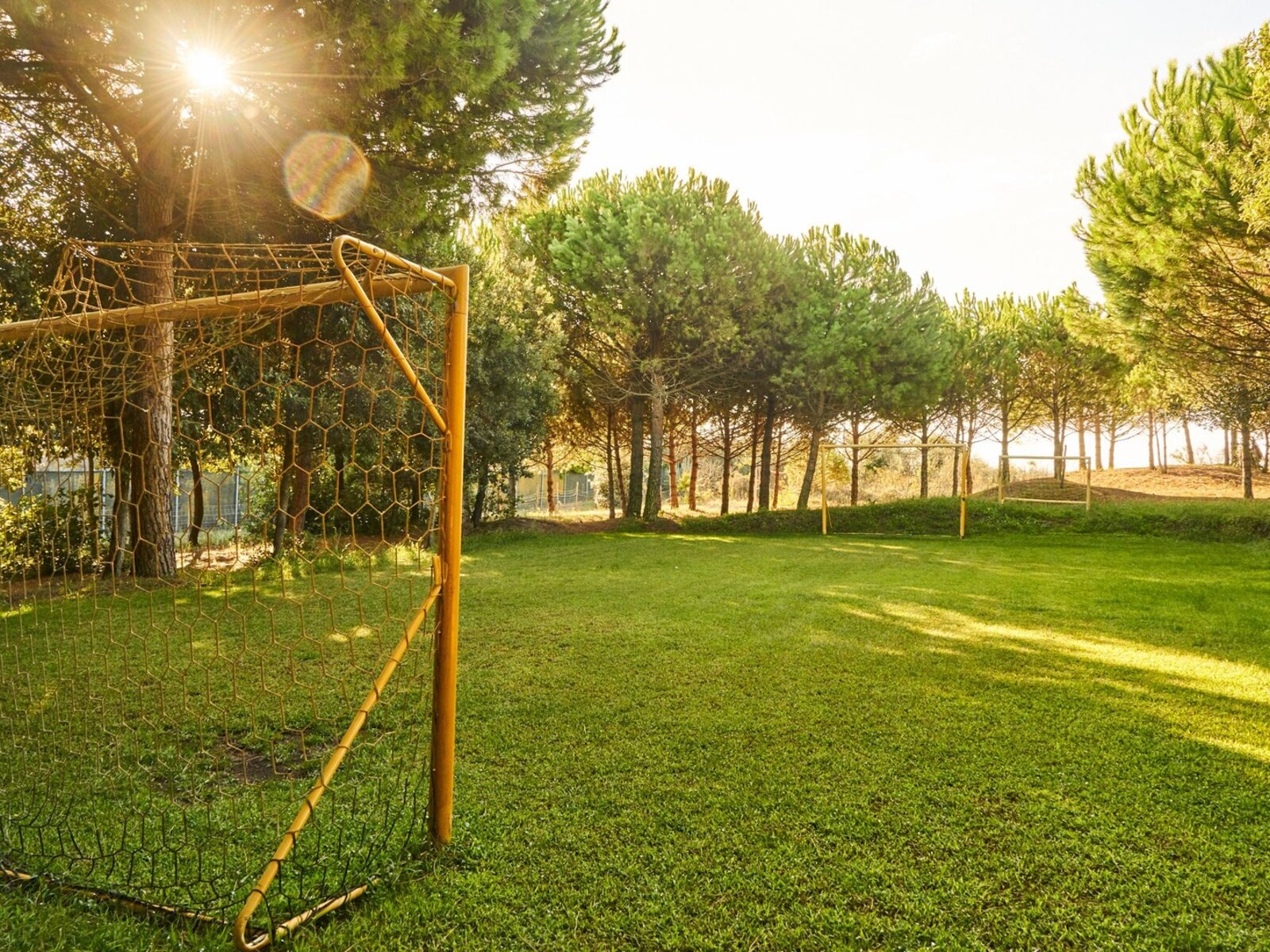 Sport
