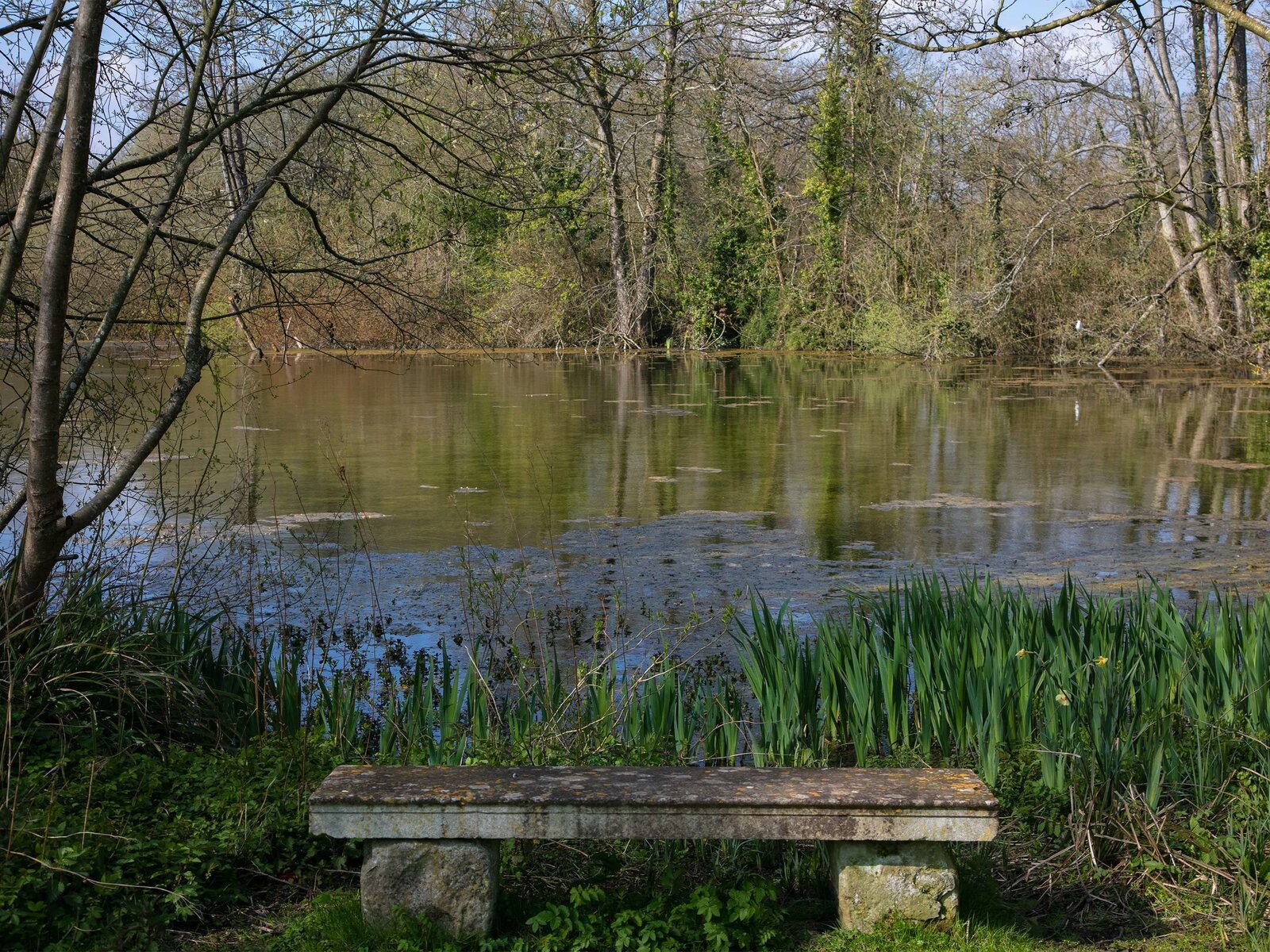 Landschaft