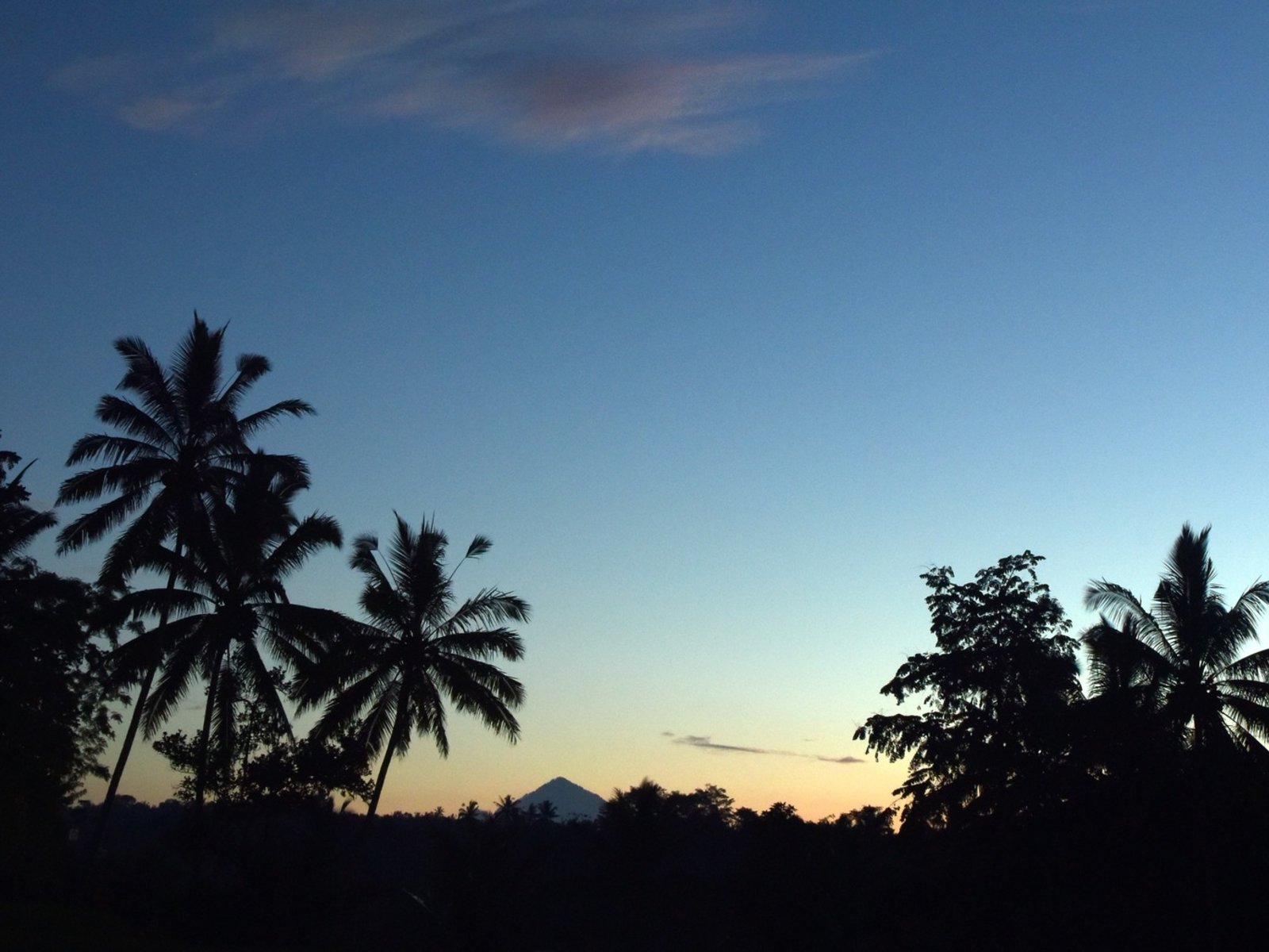 Landschaft