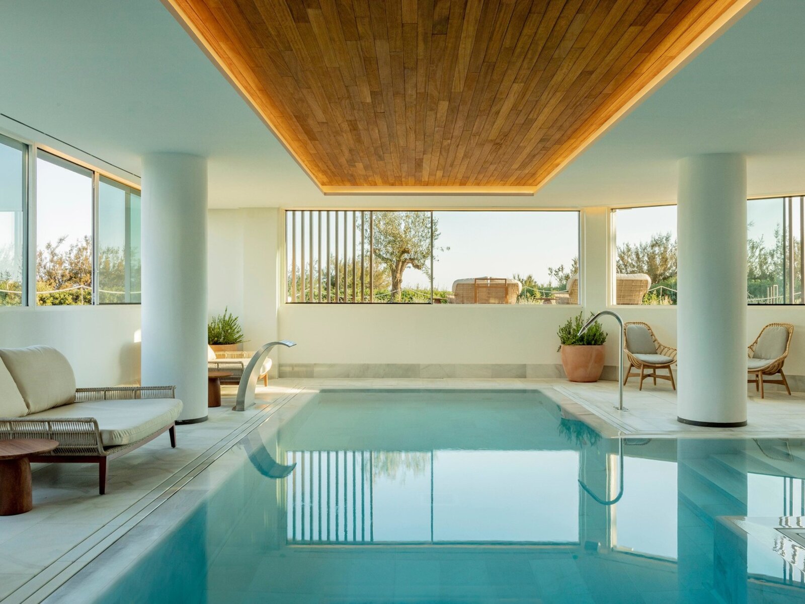Wellness