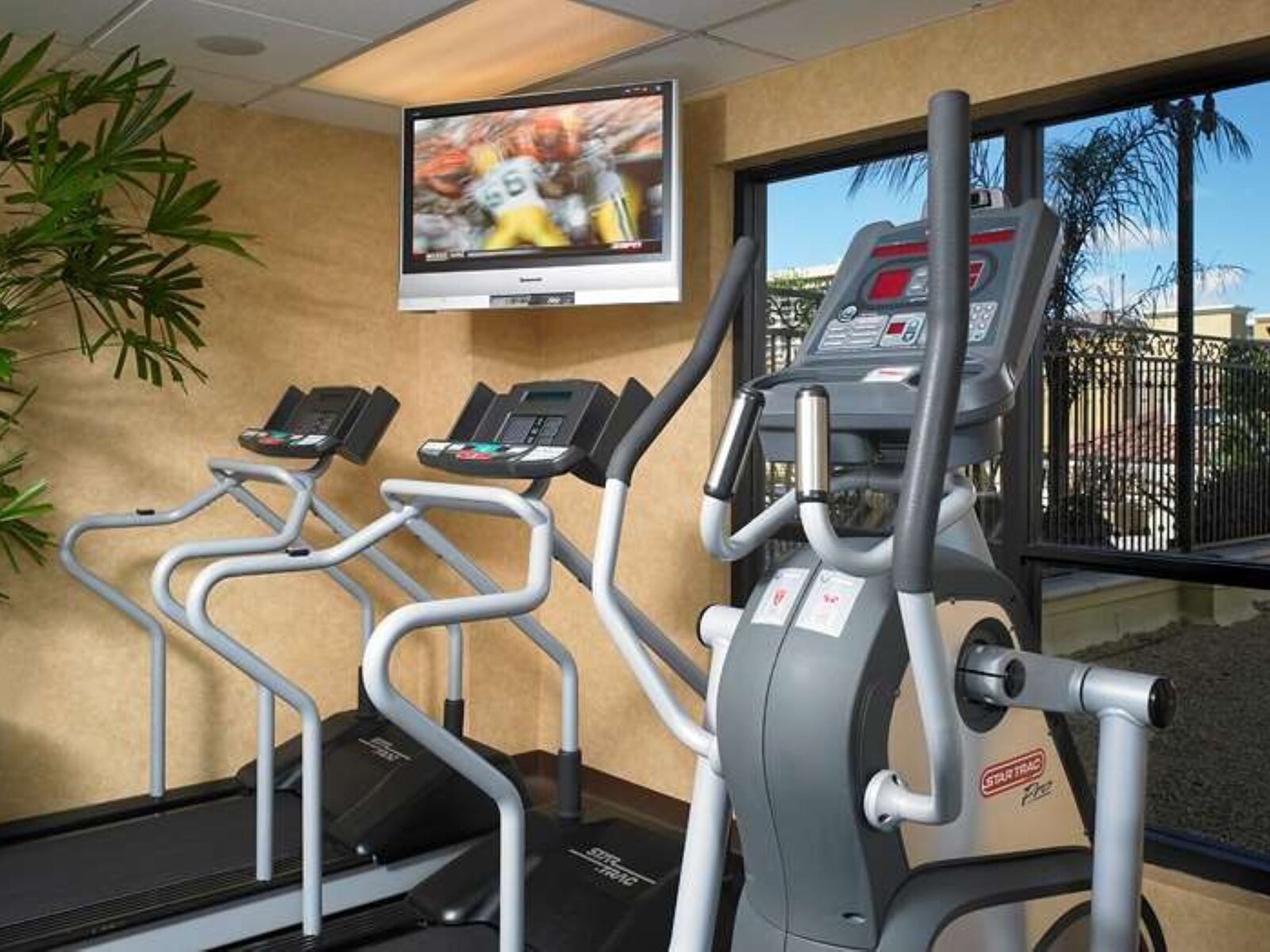 Sport