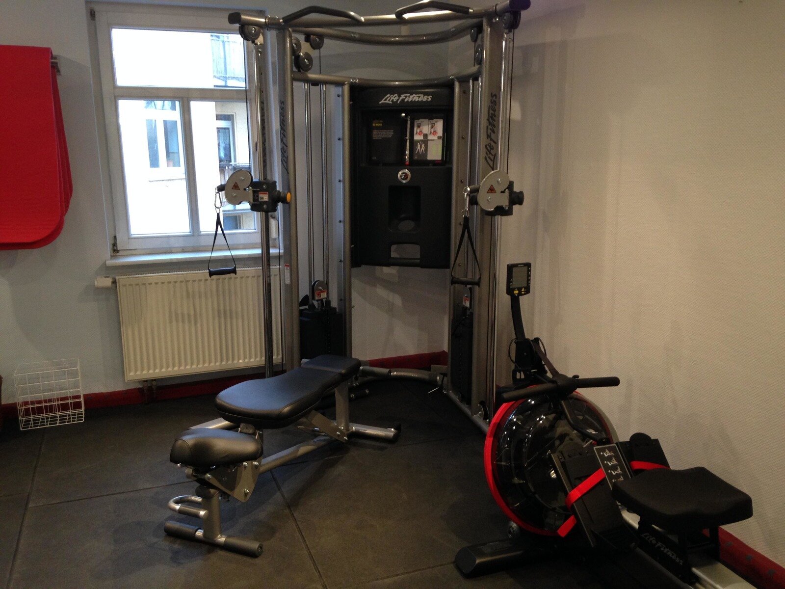 Sport