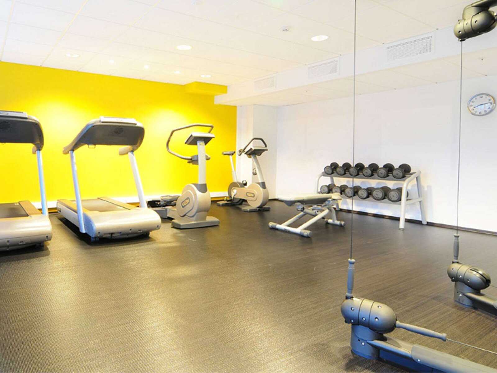 Sport