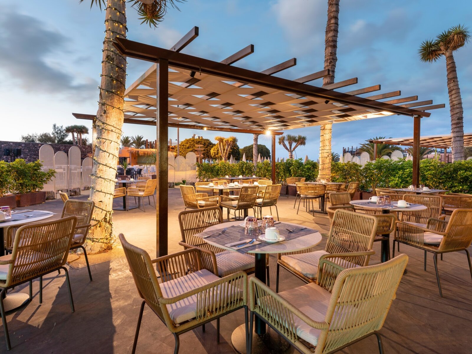 Drago