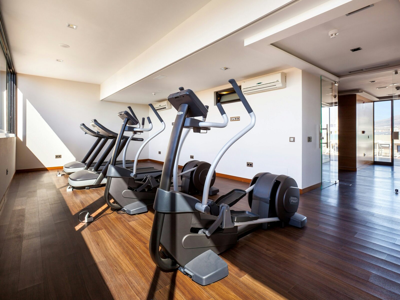 Sport