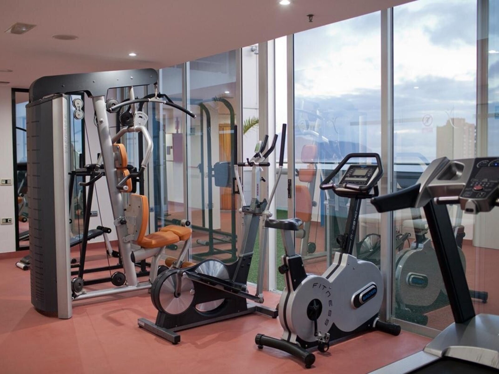 Sport