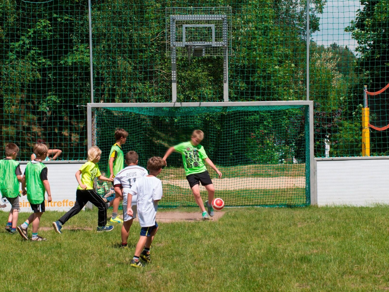 Sport