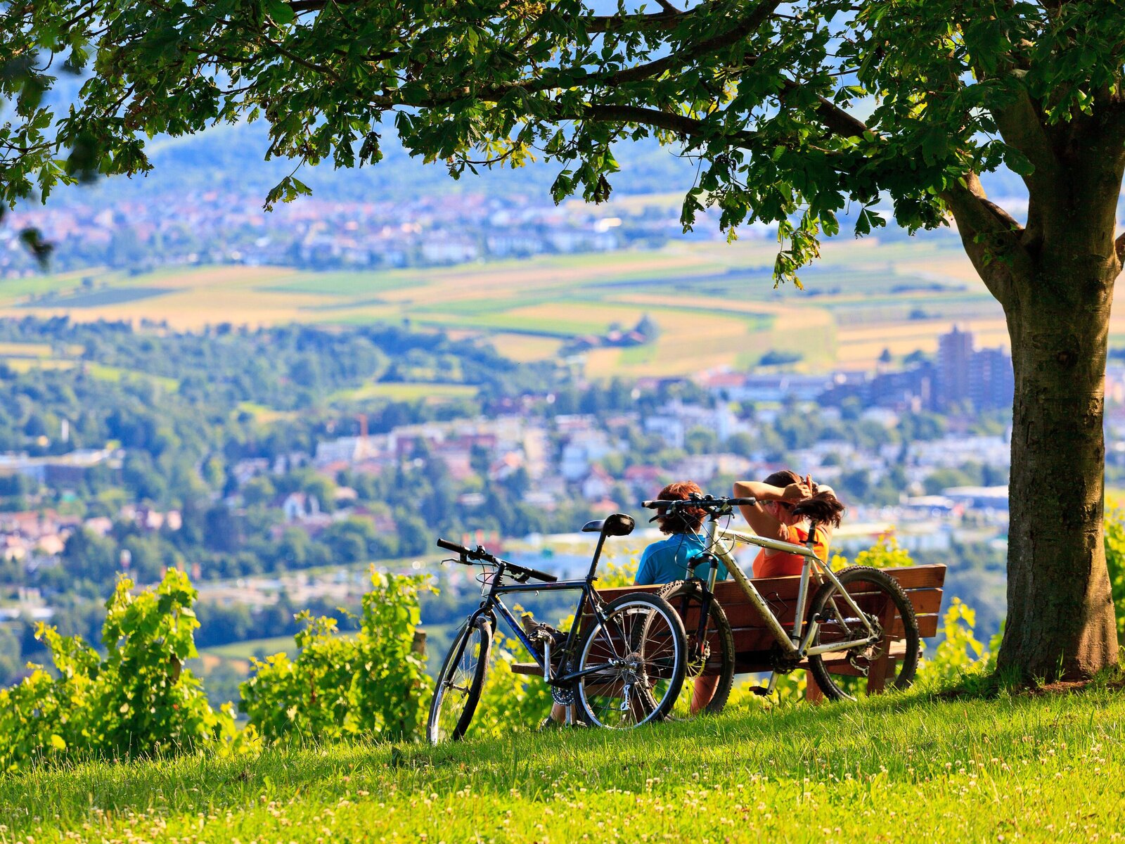 Landschaft