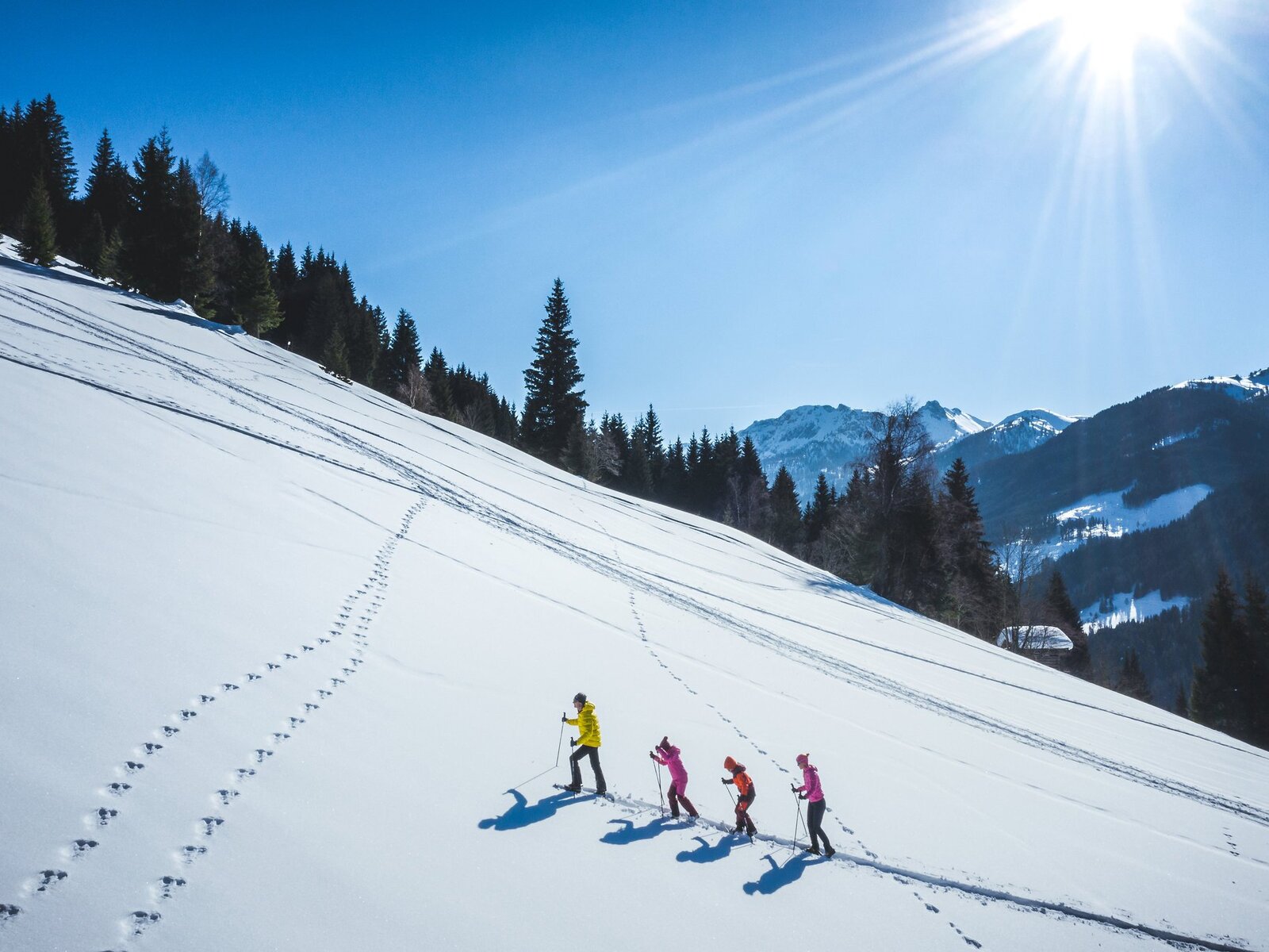 Wintersport
