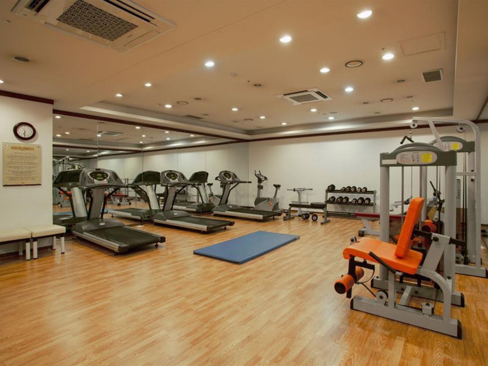 Sport