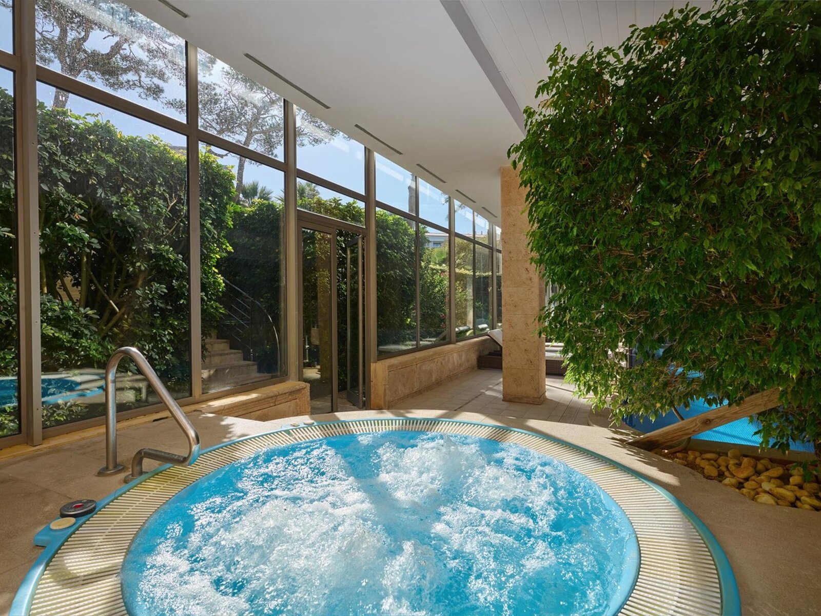 Wellness