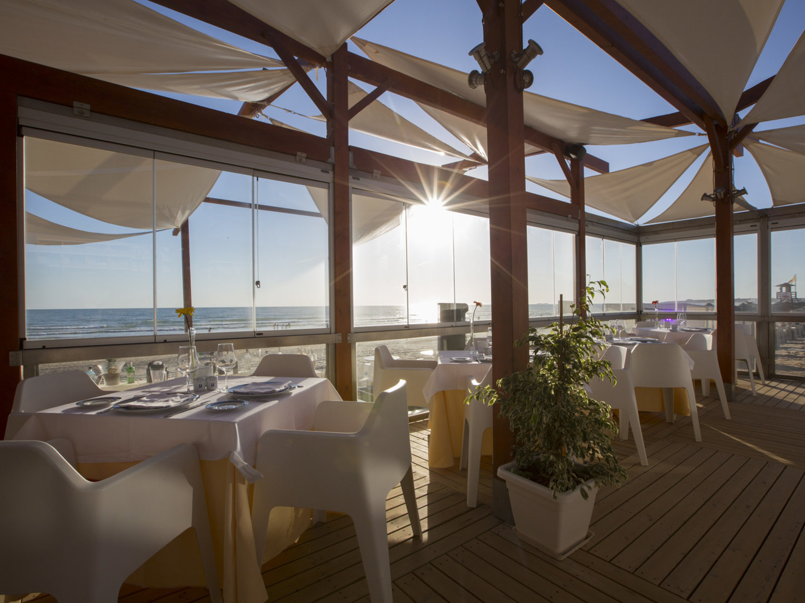 Pure Beach Club