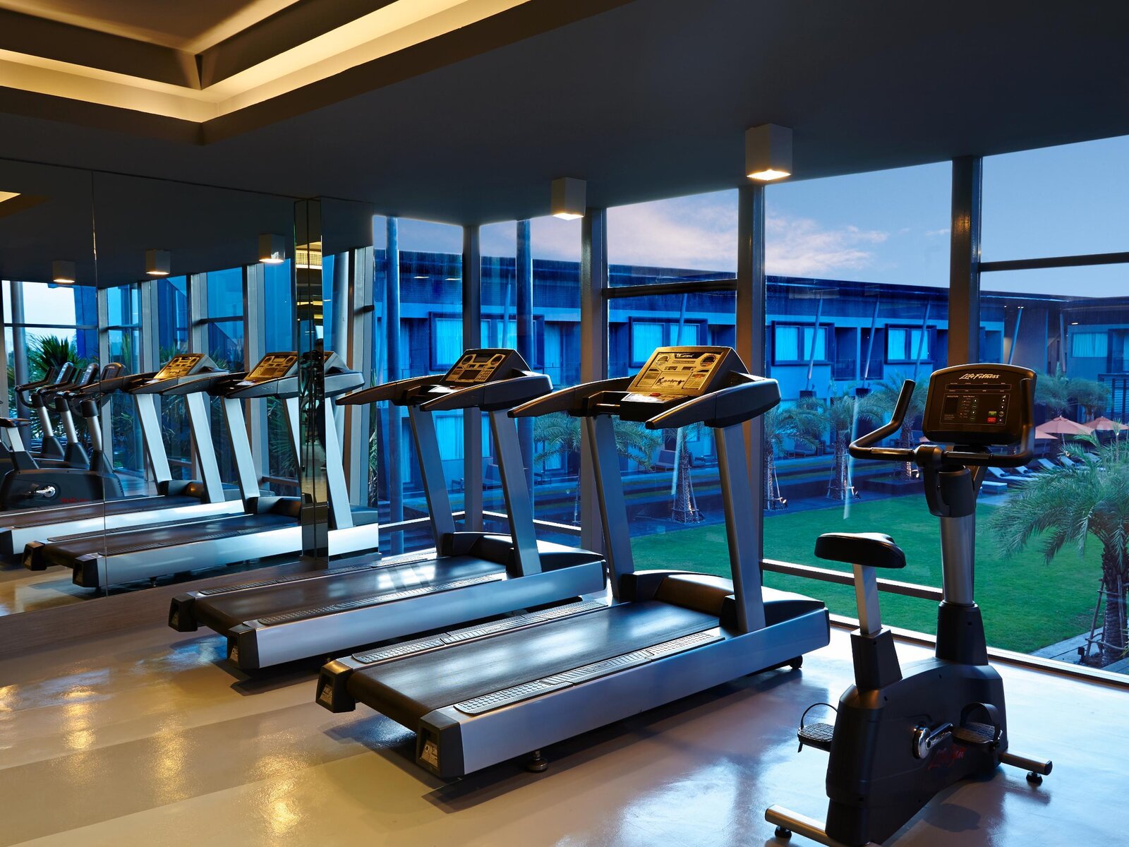 Sport